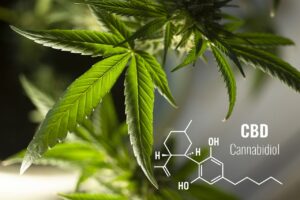 CBD oder Cannabidiol