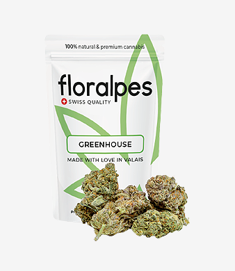 Floralpes_Fleur_CBD_Strawberry_Greenhouse_uweed_01