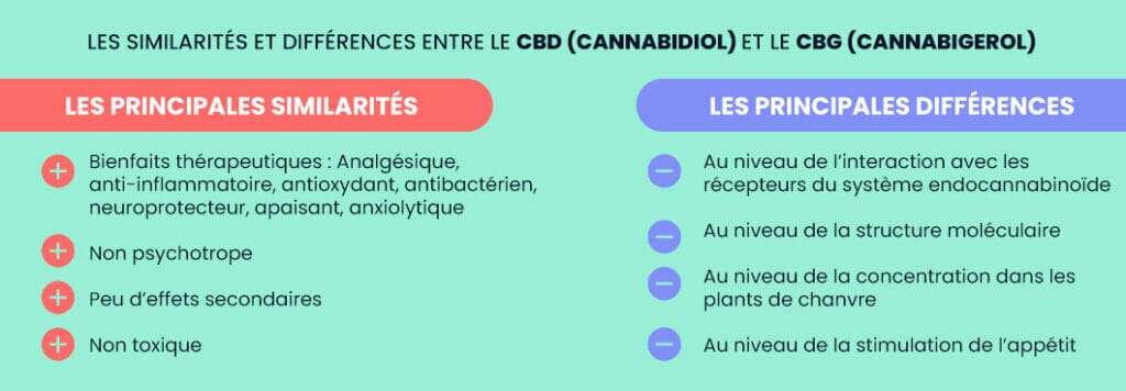 Tableau récapitulatif des similarités et différences entre CBD et CBG