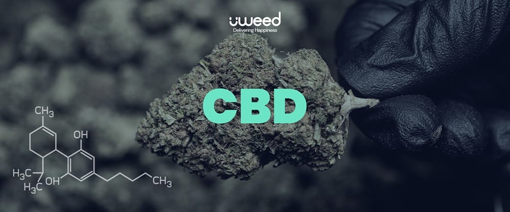 Le CBD c’est quoi ? Définition et aperçu du Cannabidiol