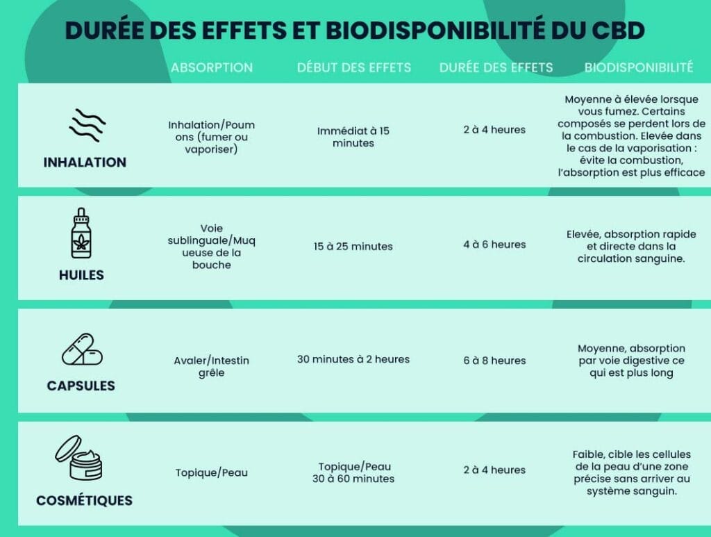 Durée des effets et biodisponibilité du CBD