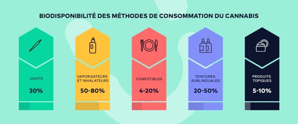 Infographie sur la biodisponibilité des méthodes de consommation du cannabis